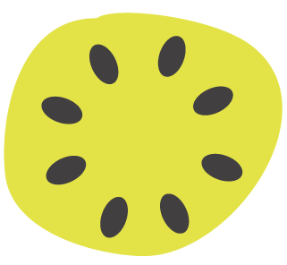 Kiwilan